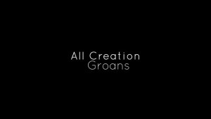 Beasts 7 Creation groans