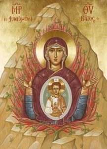 virgin-of-the-burning-bush-sinai